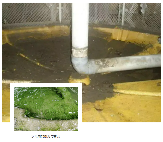 循環(huán)水塔殺菌除垢劑
