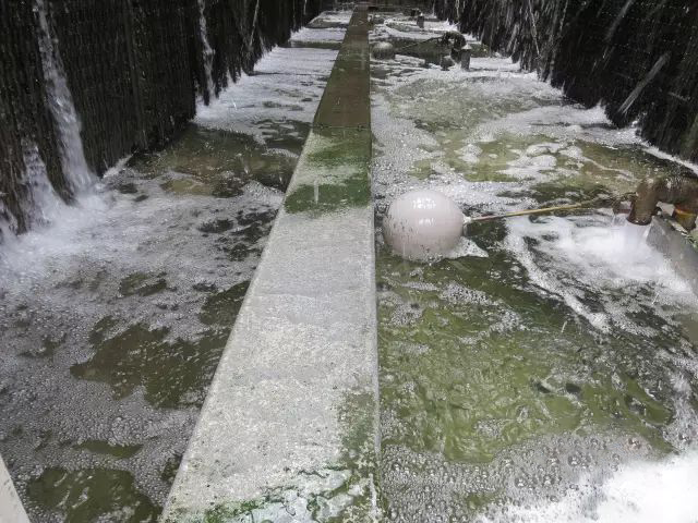 循環(huán)水塔殺菌除垢劑