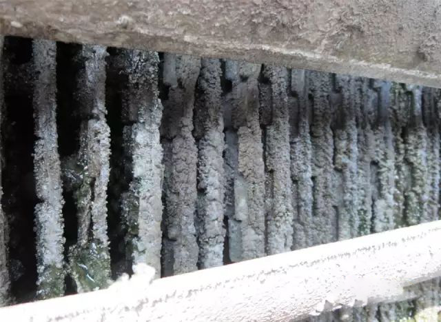 循環(huán)水塔殺菌除垢劑